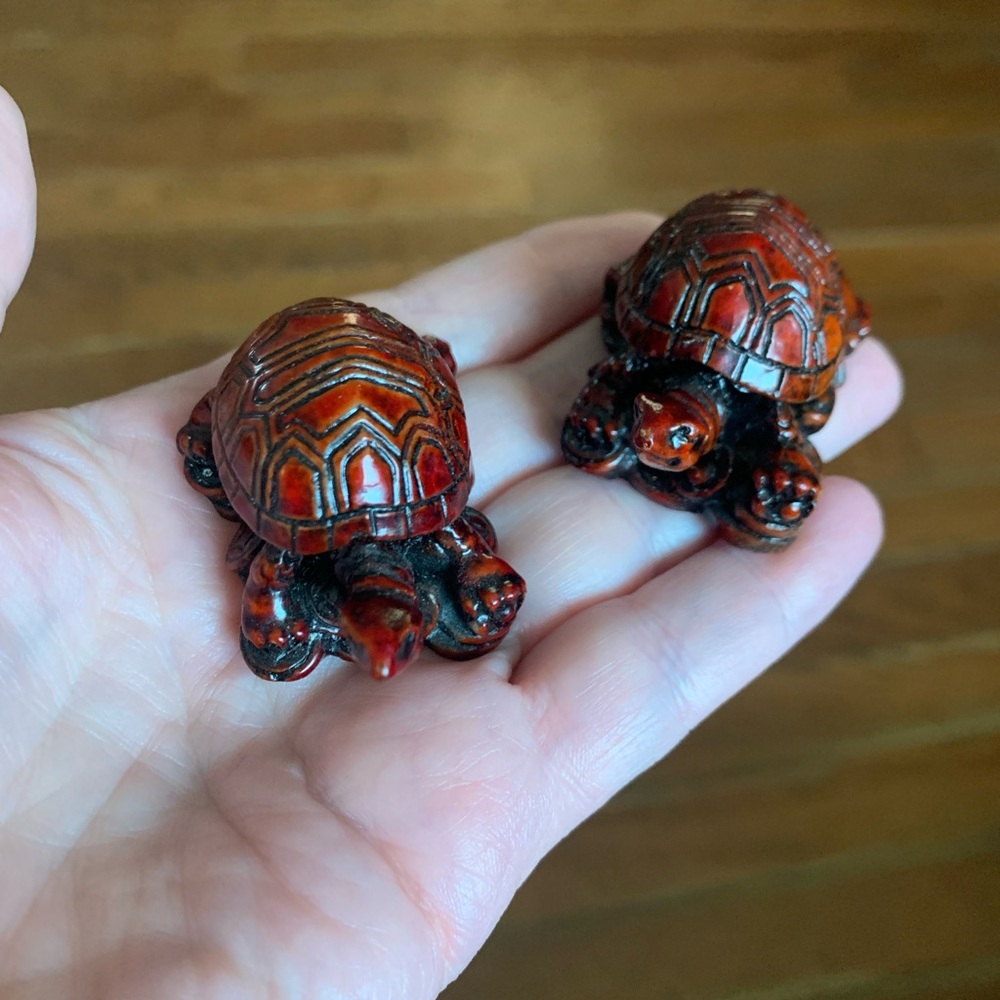 Red turtles 🐢 - Picture 5 of 5